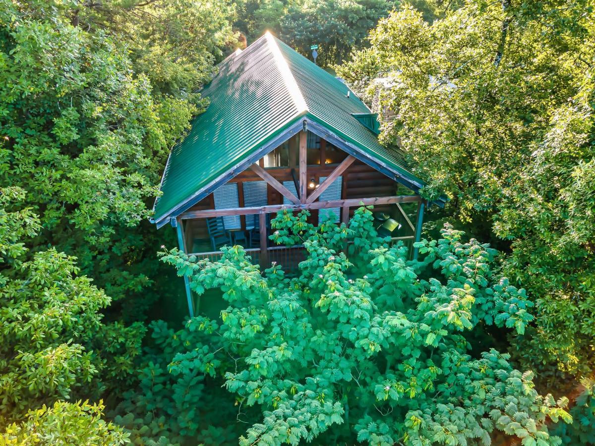 Cozy Log Cabin!! In Heart Of Pf & Close To The Smokies Pigeon Forge Kültér fotó
